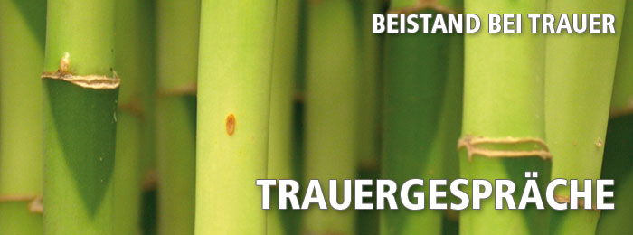 Begleitende Gesprächssituation